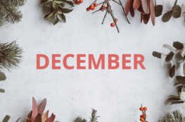 December Opening hours