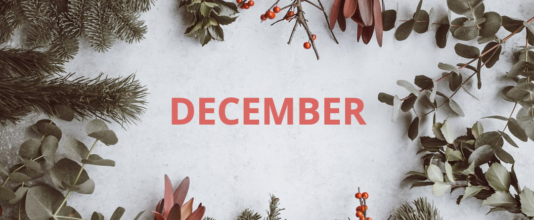 Neville--December-Opening-hours-banner